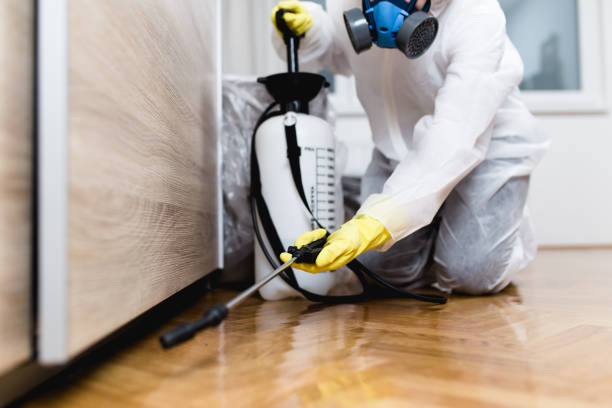 Best Pest Prevention Services  in North Braddock, PA