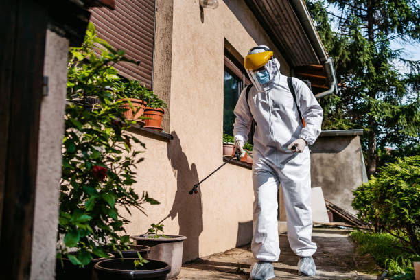 Best Spider Control Near Me  in North Braddock, PA