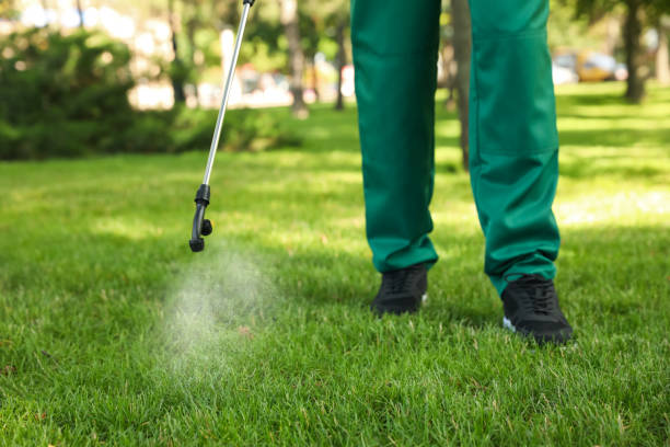 Best Flea Control Services  in North Braddock, PA