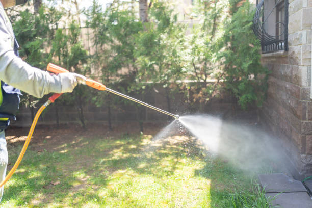 Best Best Pest Control Companies  in North Braddock, PA