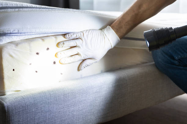 Best Residential Pest Control  in North Braddock, PA