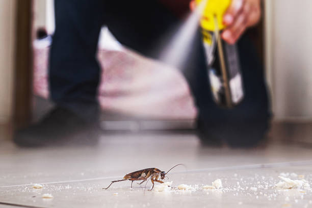 Best Affordable Pest Control Services  in North Braddock, PA