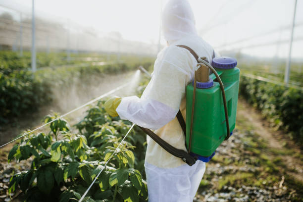 Best Bed Bug Extermination  in North Braddock, PA